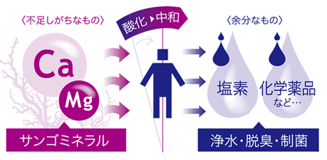 サンゴミネラル 浄水 脱臭 制菌